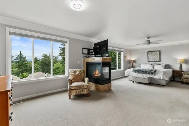 Huge primary bedroom with 2 sided gas fireplace (second floor)
