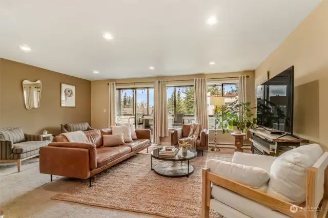 Light filled living room