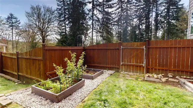 Raised garden beds and gate to front yard