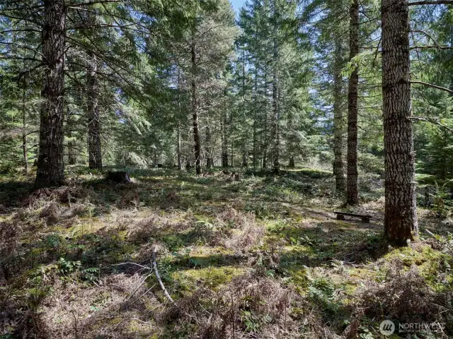 Acreage