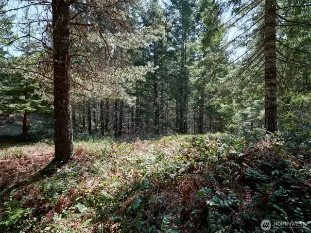 Acreage