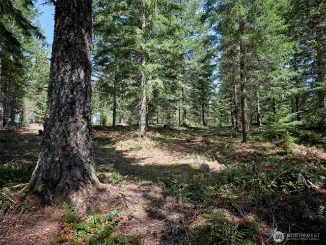 Acreage