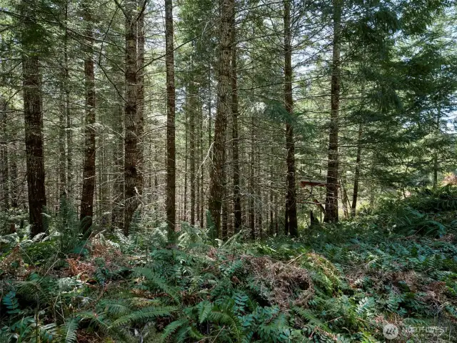 Acreage