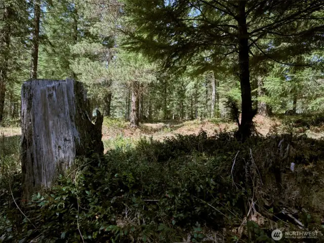 Acreage