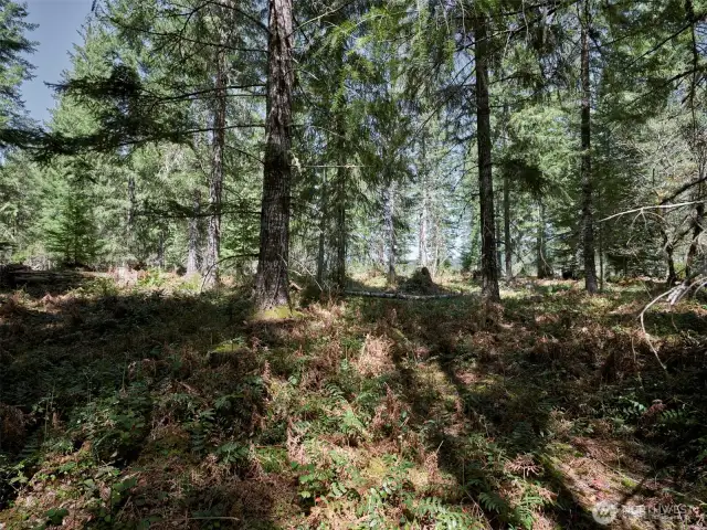 Acreage