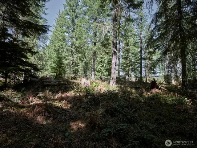 Acreage