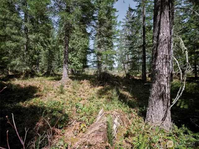 Acreage