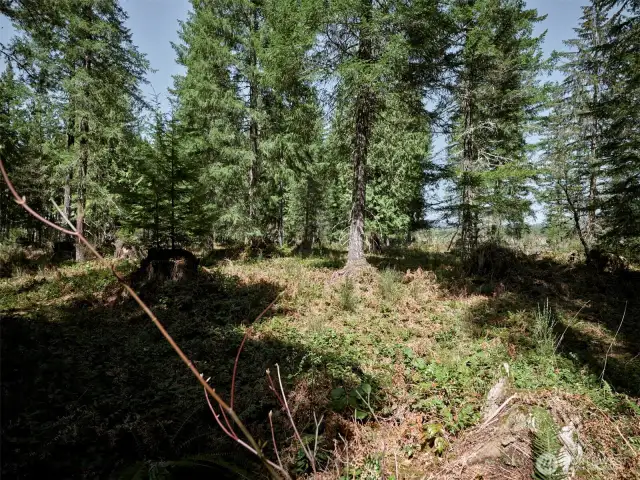 Acreage