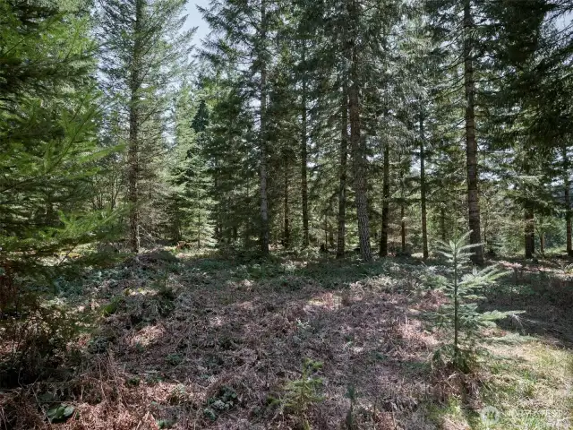 Acreage