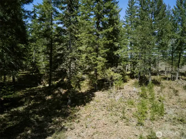 Acreage on North side of Loowit Lane