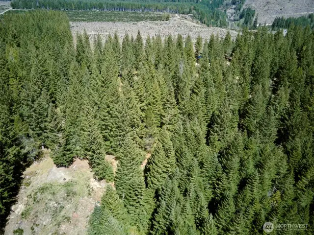 Acreage