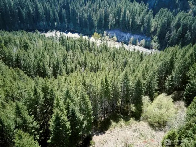 Acreage