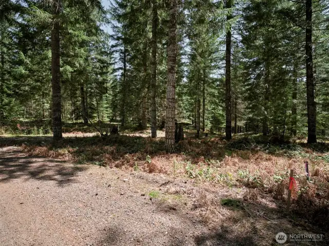 Road to property