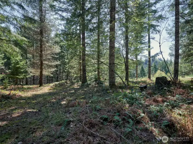 Acreage