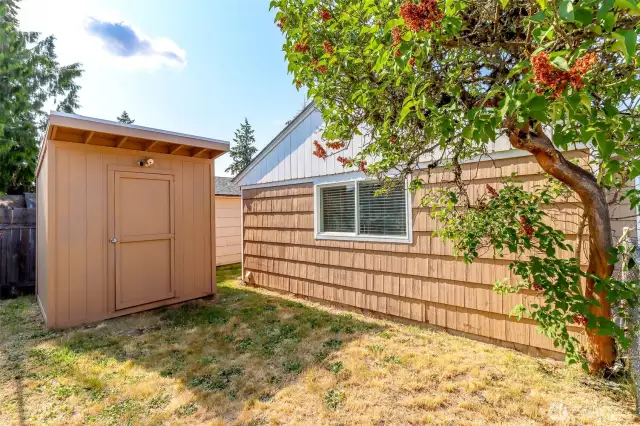 Shed! Great for extra storage and yard tools/games!
