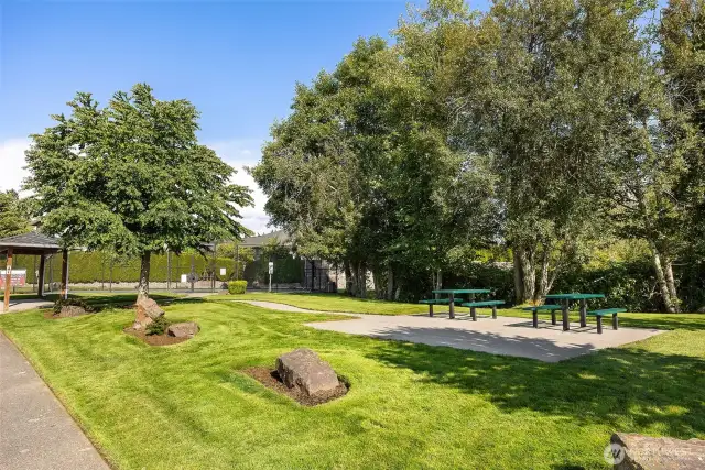 Community Park