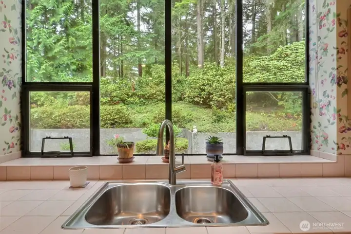 View of back yard area from kitchen