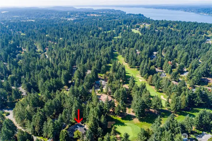 Aerial view of golf course