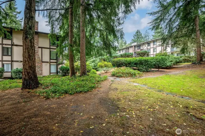 Plenty of green space in the community