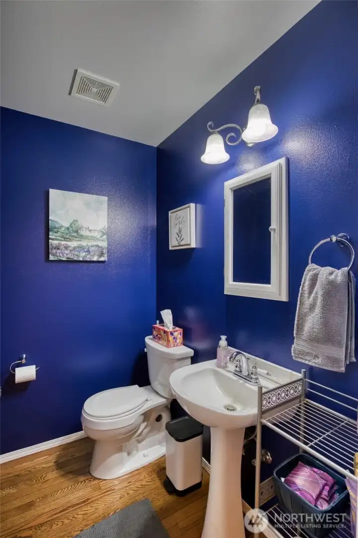 Downstairs guest bathroom