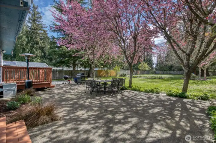 Back deck from Laundry/Mudd room to back Patio