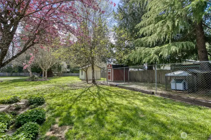 Large Dog run and  dog house cage. As well as outbuildings.