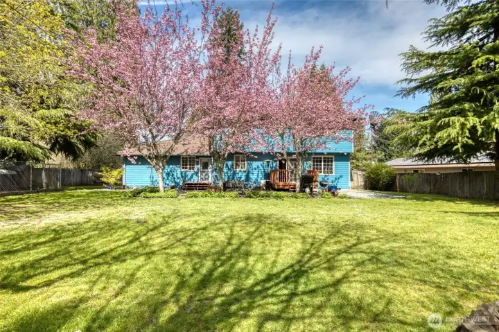 Back of the house from mid point in  the back yard. This yard is huge!