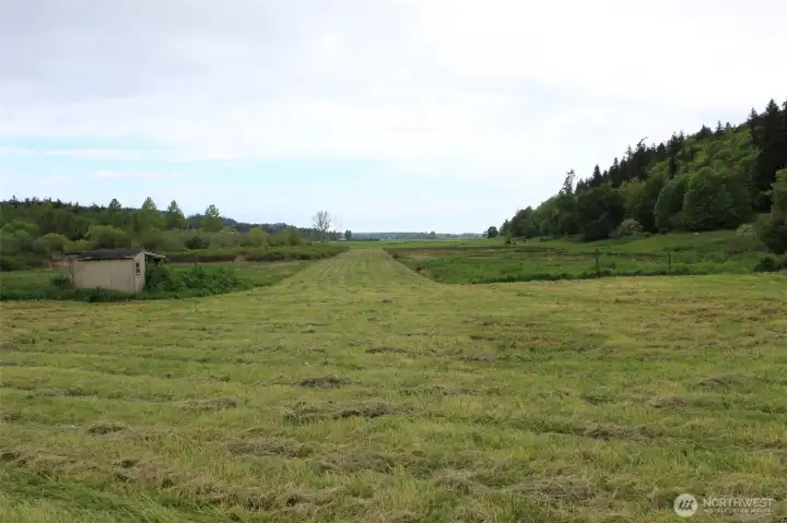 1200 ft. airstrip looking north