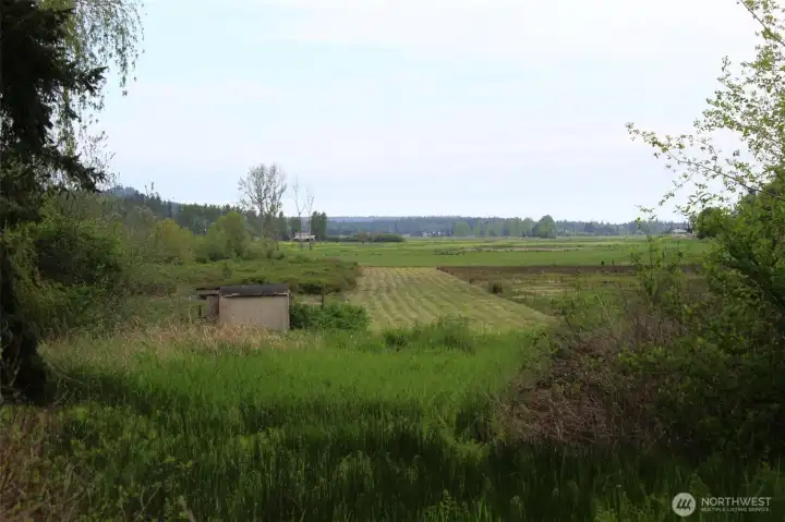 Looking from the house area to the airstrip