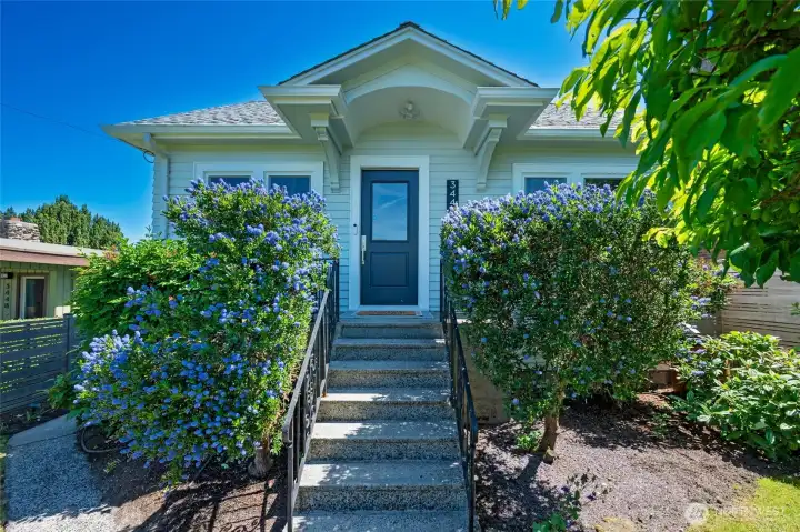 Entryway adorned by California lilac bushes in full bloom. Entryway adorned by California lilac bushes in full bloom.