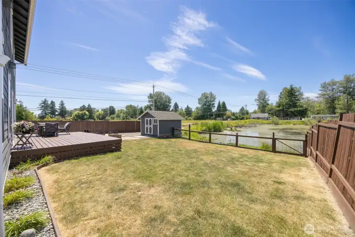 A large backyard with peaceful pond views A large backyard with peaceful pond views