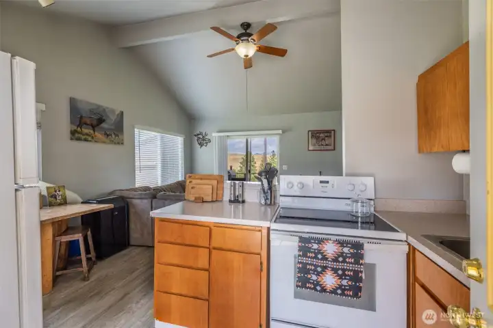 Neat and tidy kitchen with new vinyl plank flooring.