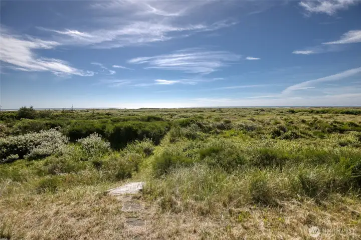 Path through the Dunes to the Beach. Path through the Dunes to the Beach.