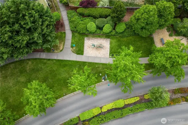 Community Walking Paths
