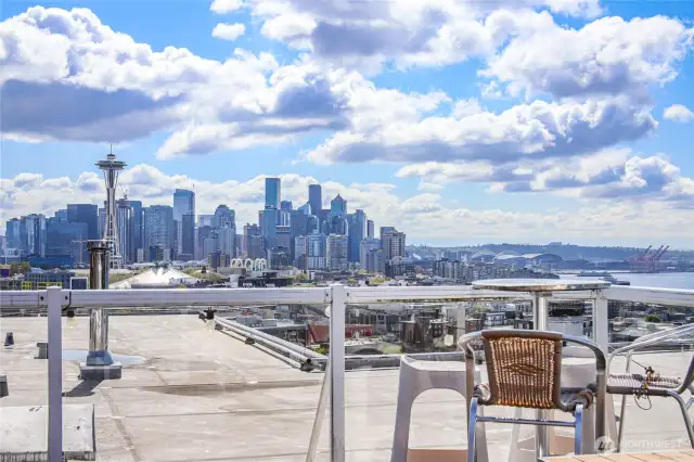 Roof Top Deck is Perfect for New Year's Eve or 4th of July