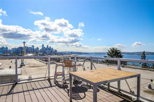 Roof Top Deck is Perfect for New Year's Eve or 4th of July