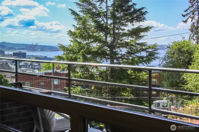 Water view from your balcony.  It is just across the street from Kinnear Park is just across the street.