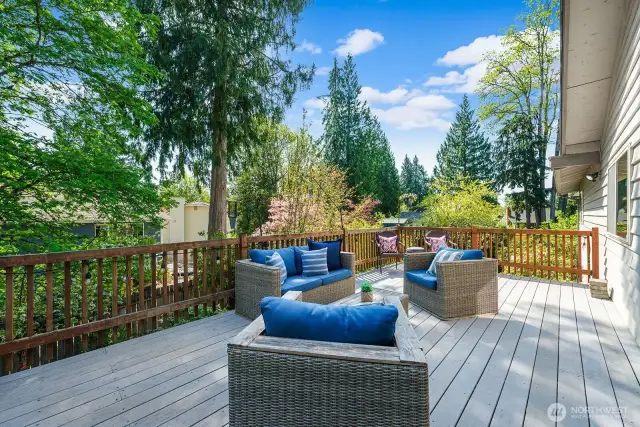 Again, this home is protected by lush greenery and feels remarkably private.