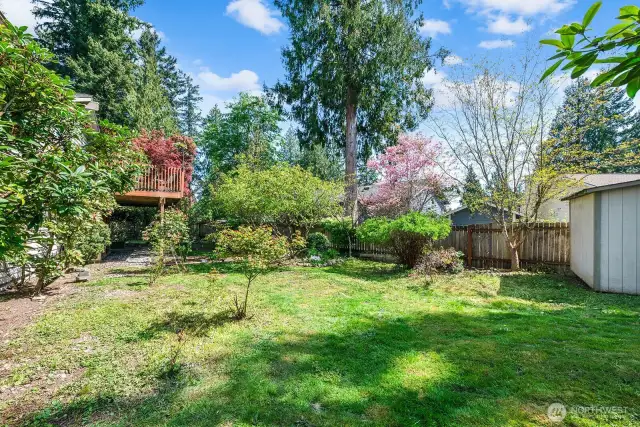 Your expansive rear yard is fully fenced and has plenty of space for play.