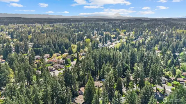 Amazing location - surrounded by trails, parks & minutes to restaurants and all the conveniences!