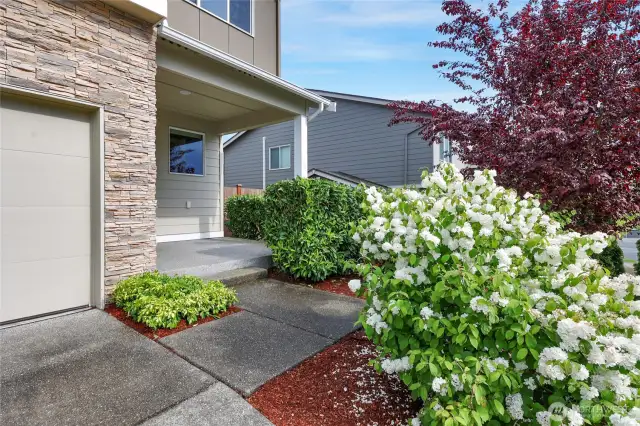 Mature hedges leading up to the front of the home.