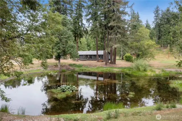 Imagine waking up to this—your own private pond, tall evergreens, and a peaceful cabin retreat on 5 acres.