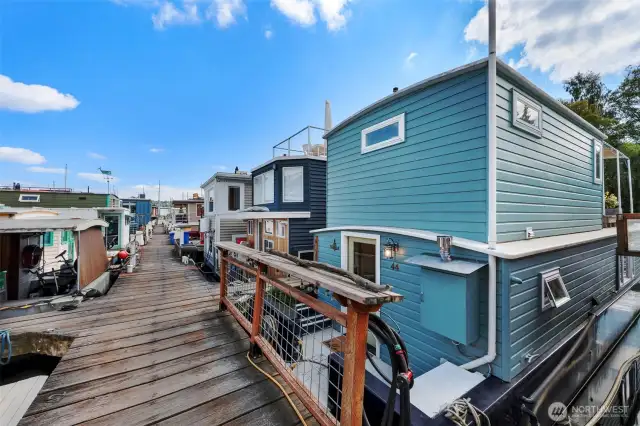 The dock is friendly with dogs, neighbors, on-site marina manager, and lots of water toys.