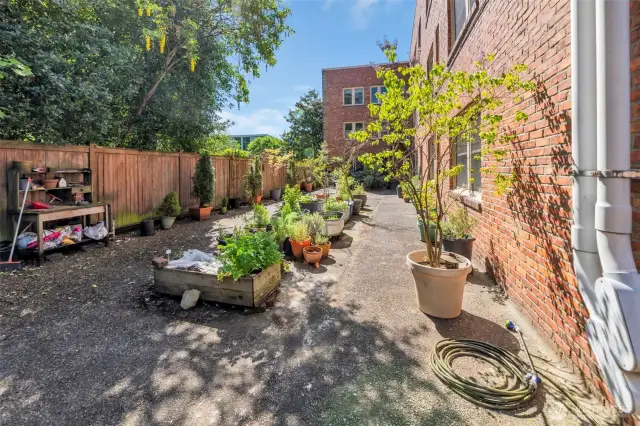 Community Garden space