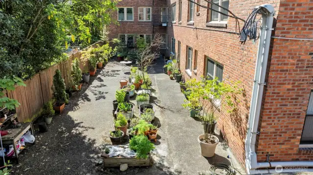 Community Garden Space