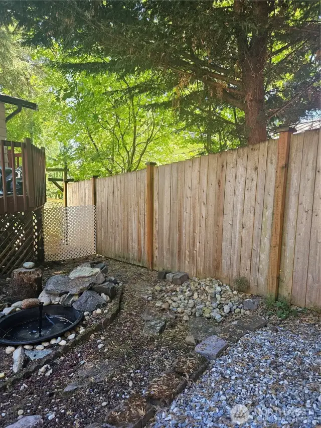 Back Yard