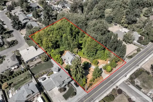 Over an acre of land with walking trails, birds & fruits. Headwaters of Crystal Creek.
