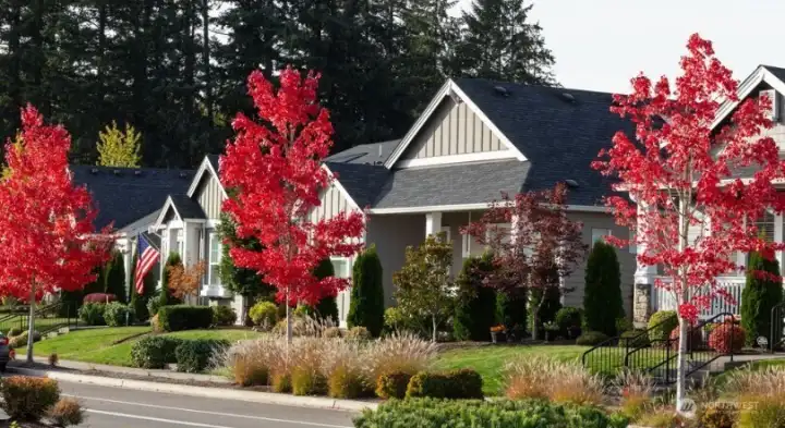 Ovation at Oak Tree - Community Photos