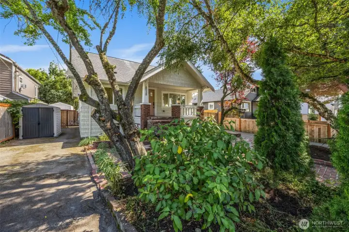 Established landscape and blooming cherry trees are a highlight to this renovated Craftsman home.