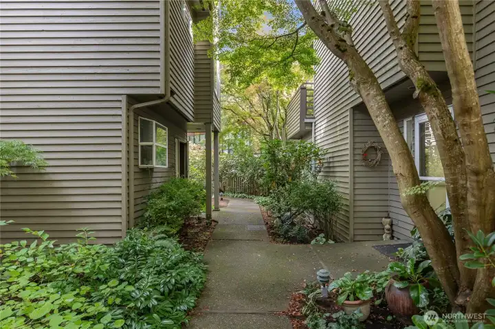 Serene, garden pathways